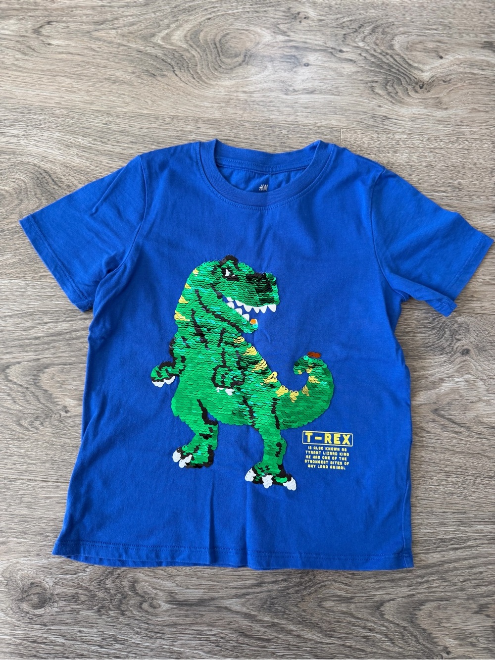 H&M Blue Tee with Green Sequin T-Rex